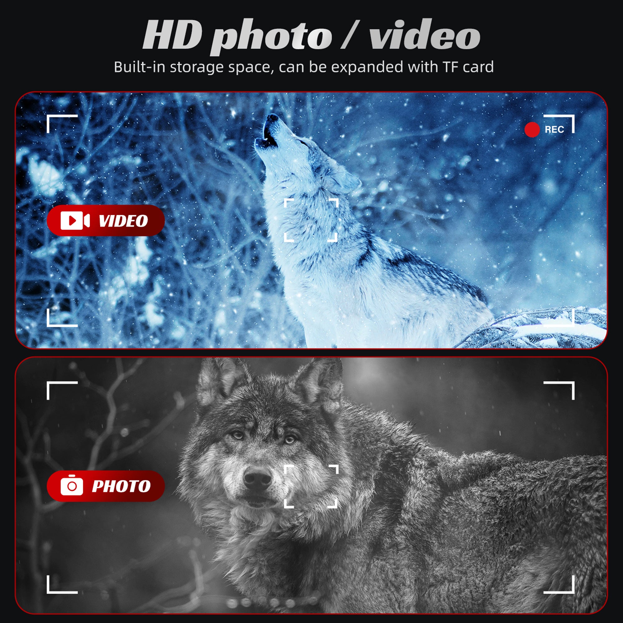 Capture HD photos and videos; built-in storage supports expansion via TF card so you can record night adventures and wildlife moments.